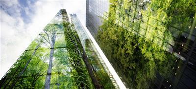 ◆早鳥優惠中◆從歐盟永續趨勢及法規(CSRD/CSDDD) 看環境與社會盡職調查